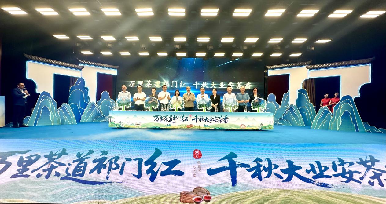 夜露凝香承古韵祁门安茶香飘海内外(图1)