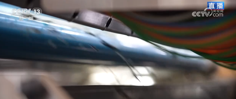 “绿叶子”变“金叶子”科技赋能撑起农户“钱袋(图5)