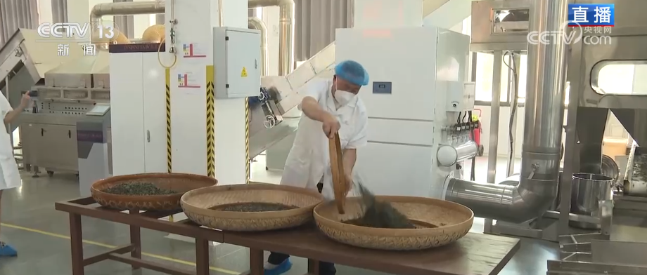 “绿叶子”变“金叶子”科技赋能撑起农户“钱袋(图6)