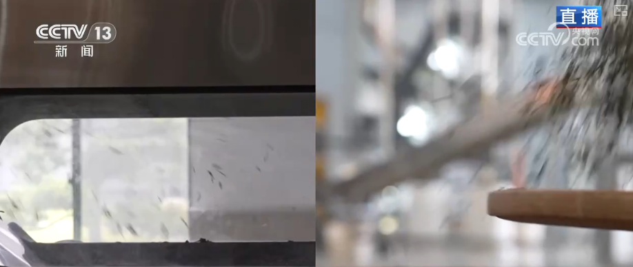 “绿叶子”变“金叶子”科技赋能撑起农户“钱袋(图7)