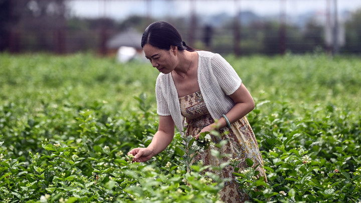 PG平台stylecontent(图2)