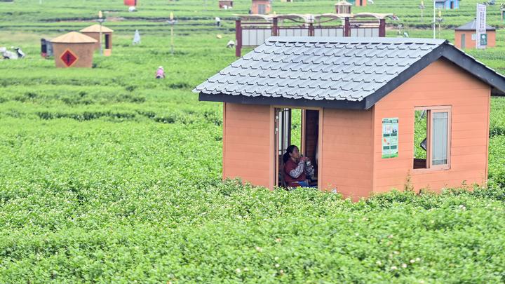 PG平台stylecontent(图4)