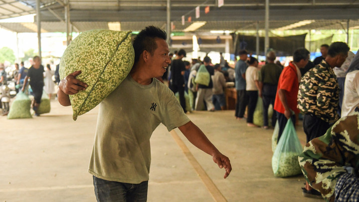 PG平台stylecontent(图5)