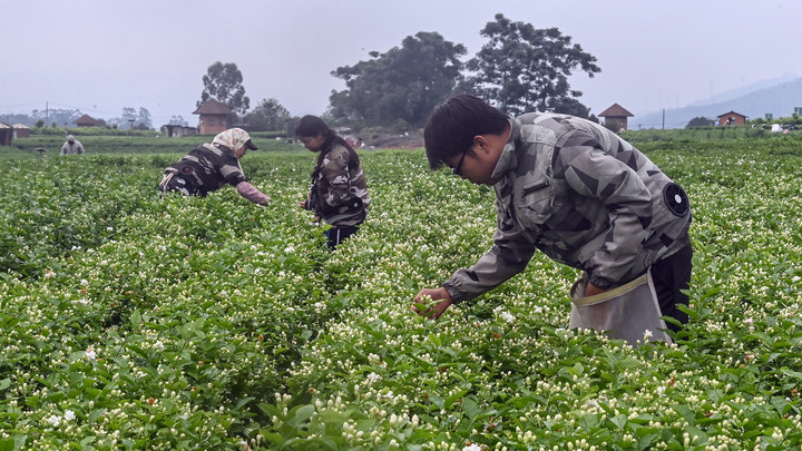 PG平台stylecontent(图1)