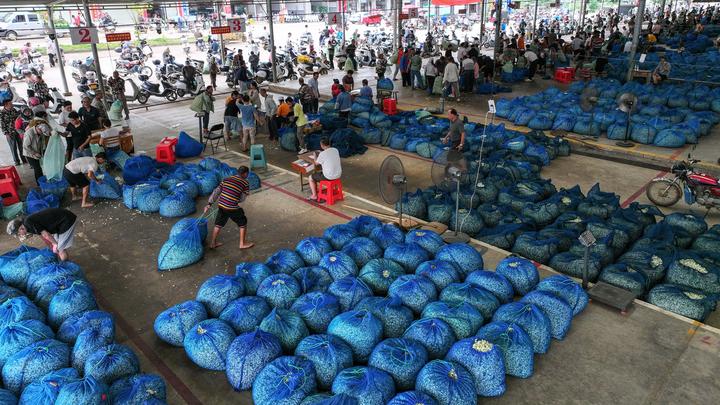 PG平台stylecontent(图6)