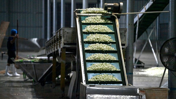 PG平台stylecontent(图13)