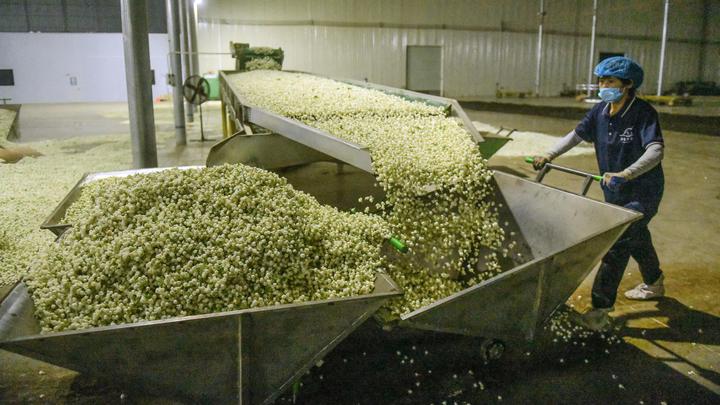 PG平台stylecontent(图12)