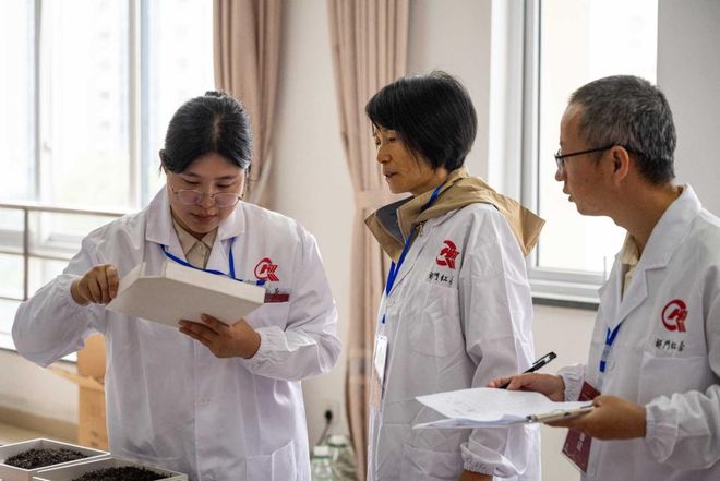 百年祁门香新锐竞锋芒(图3)