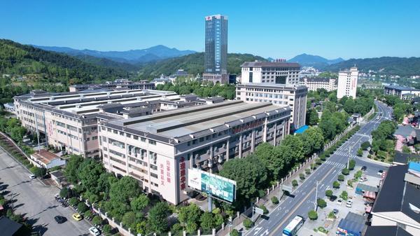 PG电子网站理想华莱：以茶为媒深耕安化书写乡村振兴企业答卷(图1)