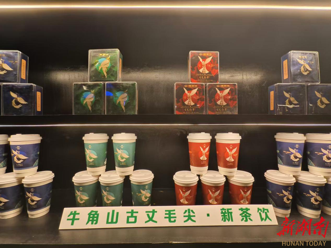千年茶脉邂逅新潮古丈新茶饮激活产业发展新动能(图5)