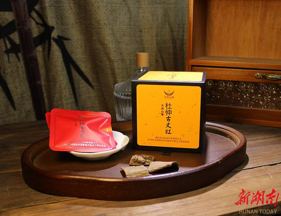 千年茶脉邂逅新潮古丈新茶饮激活产业发展新动能(图6)