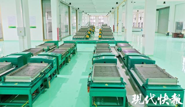 2025全国地方媒体总编辑看无锡｜智能流水线泡出振兴茶香勾勒宜兴振兴画卷(图3)
