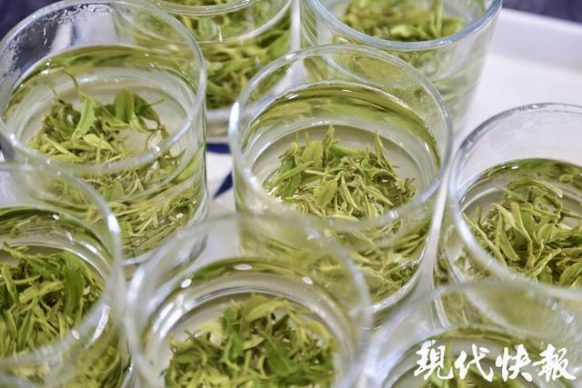 2025全国地方媒体总编辑看无锡｜智能流水线泡出振兴茶香勾勒宜兴振兴画卷(图6)