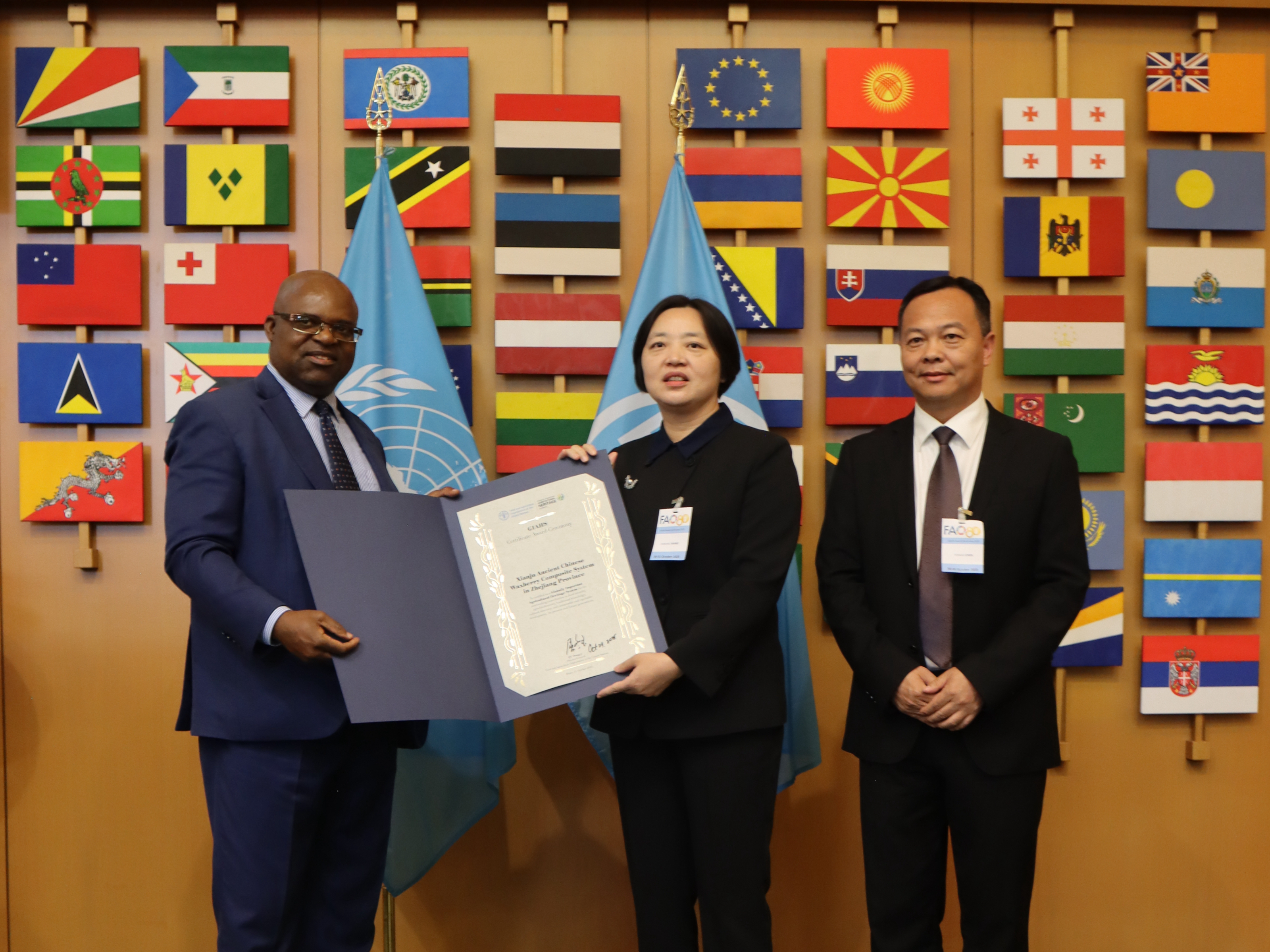 联合国授牌仙居捧回全球首张杨梅类世界级“金名片”(图1)