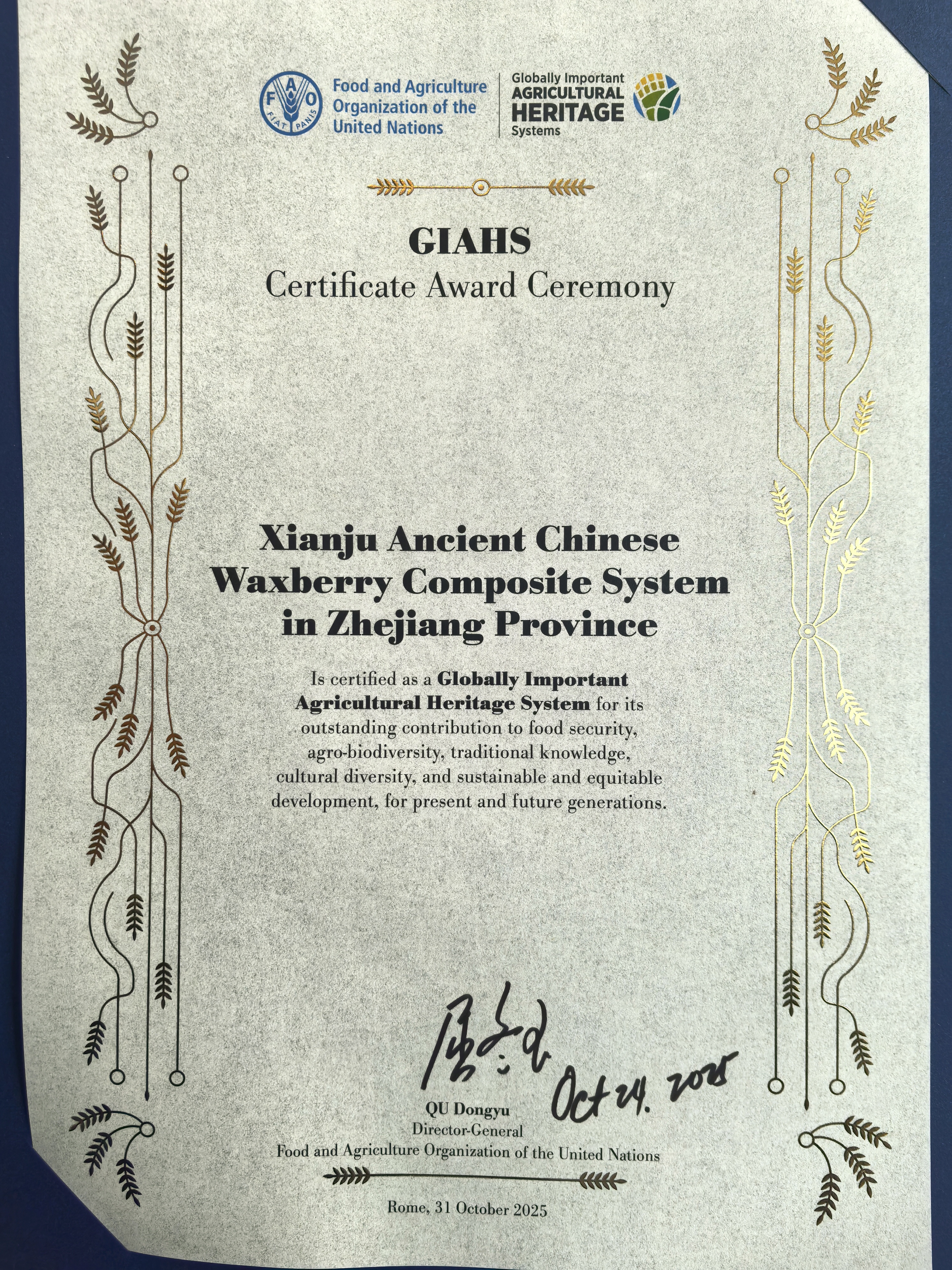 联合国授牌仙居捧回全球首张杨梅类世界级“金名片”(图2)