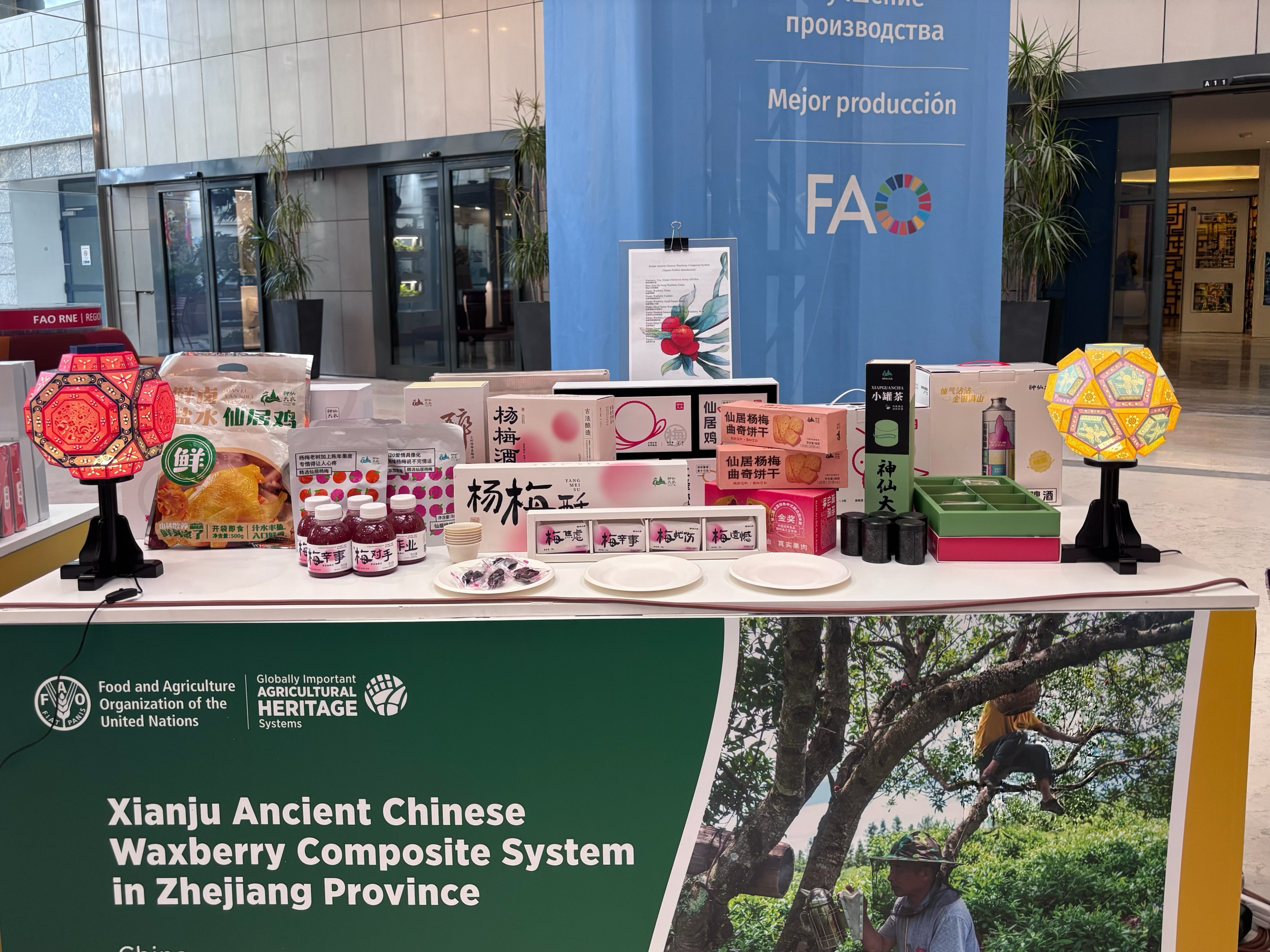 联合国授牌仙居捧回全球首张杨梅类世界级“金名片”(图3)