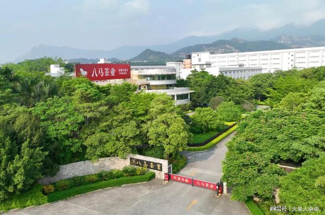 福建诞生一家茶叶上市公司：门店超过3700家三年进账61亿元(图1)