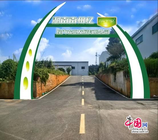 PG平台湖南株洲：筑基油茶全产业链小茶果筑梦乡村振兴(图1)