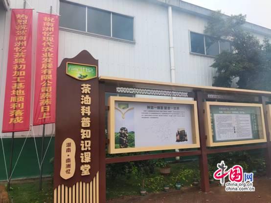 PG平台湖南株洲：筑基油茶全产业链小茶果筑梦乡村振兴(图2)