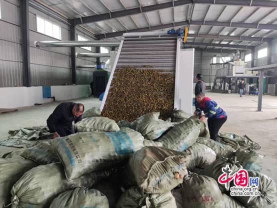 PG平台湖南株洲：筑基油茶全产业链小茶果筑梦乡村振兴(图3)