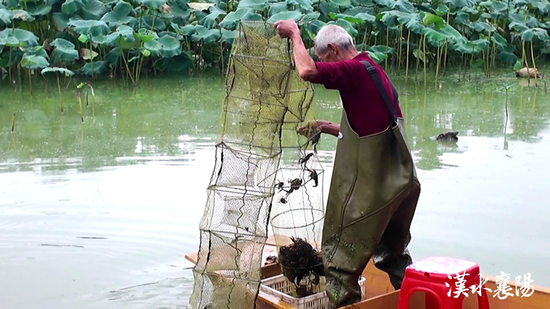 PG平台环境蝶变引产业千年茶乡酿新香(图2)