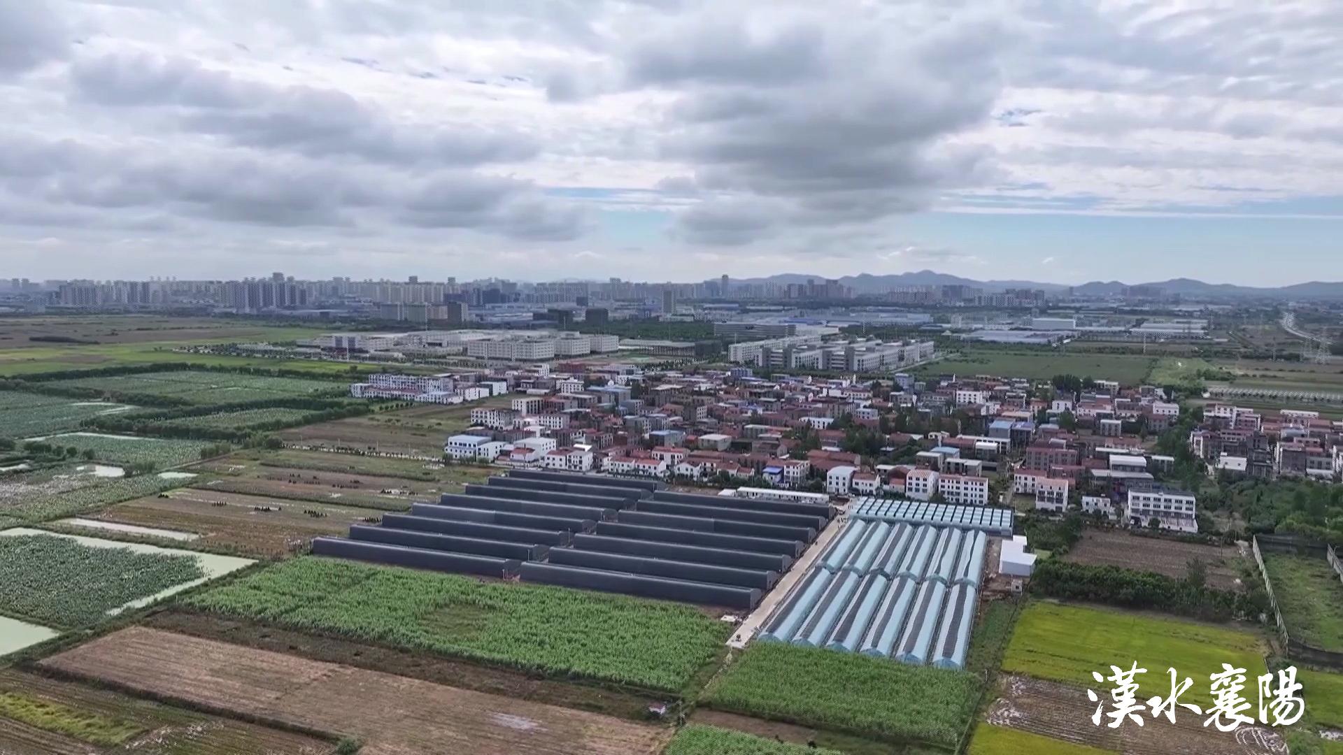 PG平台环境蝶变引产业千年茶乡酿新香(图5)