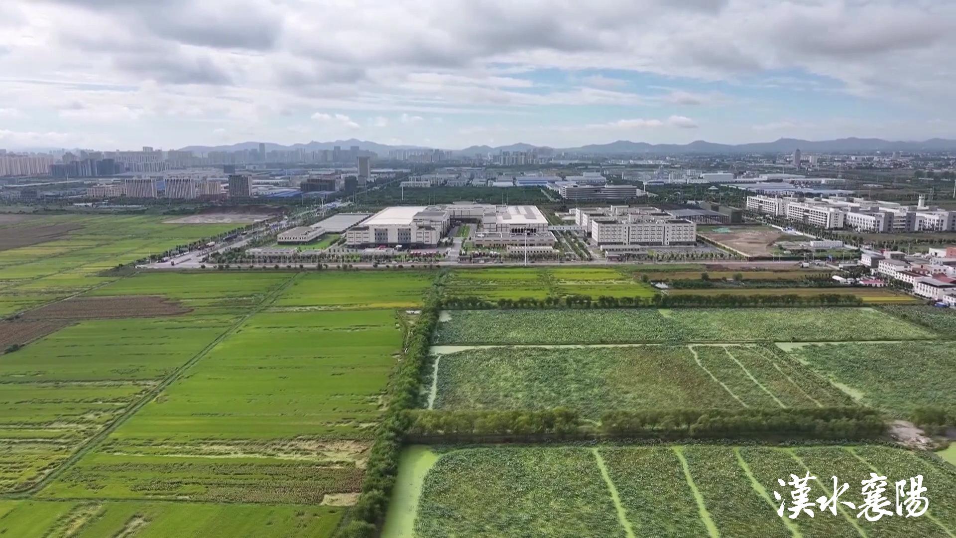 PG平台环境蝶变引产业千年茶乡酿新香(图6)