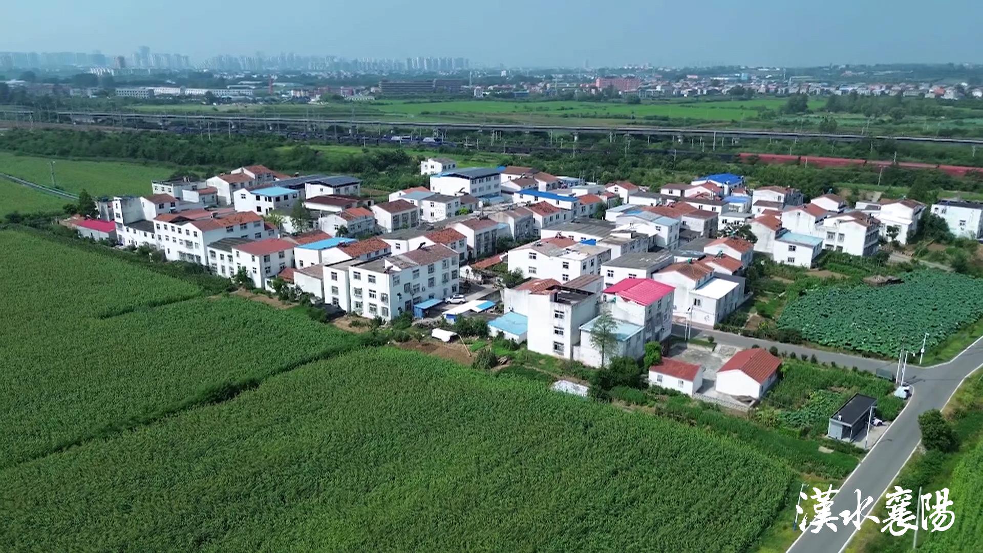 PG平台环境蝶变引产业千年茶乡酿新香(图11)