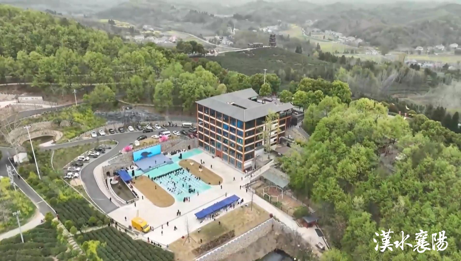 PG平台环境蝶变引产业千年茶乡酿新香(图15)