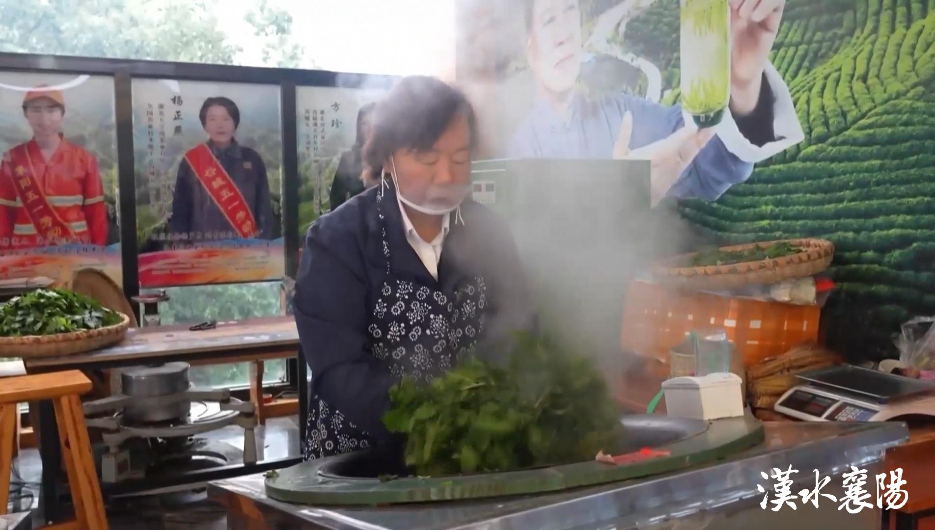 PG平台环境蝶变引产业千年茶乡酿新香(图17)