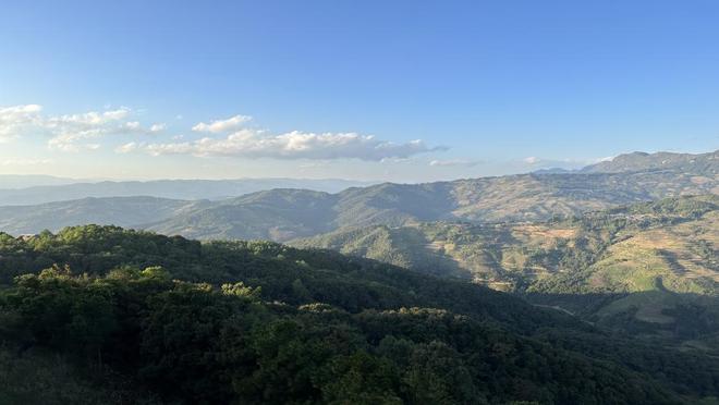 沪滇携手唤醒“仙草”石斛新生(图1)