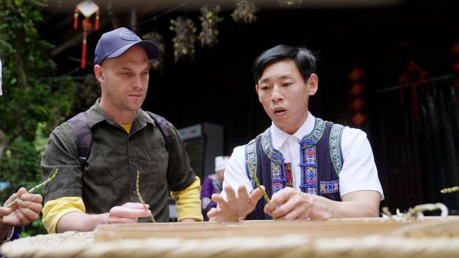 沪滇携手唤醒“仙草”石斛新生(图3)