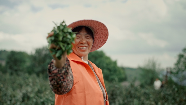 PG电子网站有一种开放叫新重庆丨从金佛山到滨海湾:一片重庆茶叶的“中新”奇幻漂流(图2)