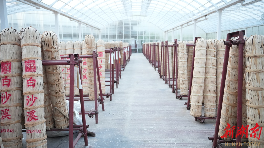 省茶业集团白沙溪茶厂荣获“国家工业遗产”安化黑茶工业“活化石”焕新机(图5)