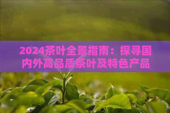 2024茶叶全景指南:探寻国内外高品质茶叶及特色产品推荐(图1)