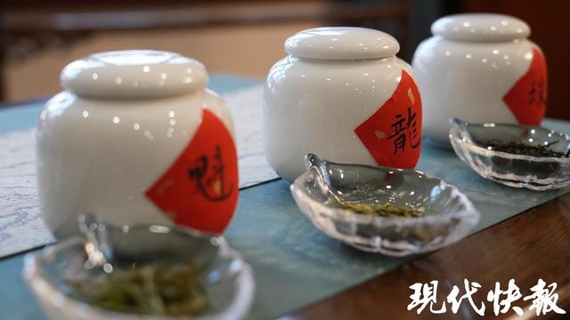 PG电子网站读城｜种花起家你喜欢的富春今年140岁(图10)