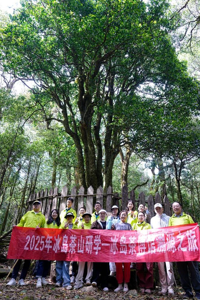 PG平台见证茶叶从3元到30000元这对夫妻开了一家茶博馆丨家国情·奋斗正当时(图4)