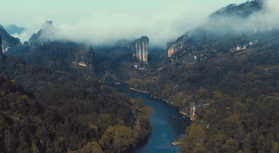 岩茶的历史渊源与文化传承(图3)