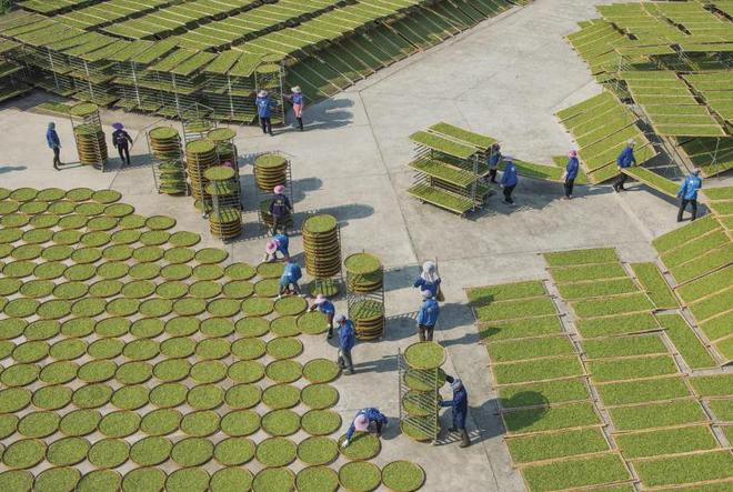 获批成立!福鼎再添一块国家级“金字招牌”(图2)