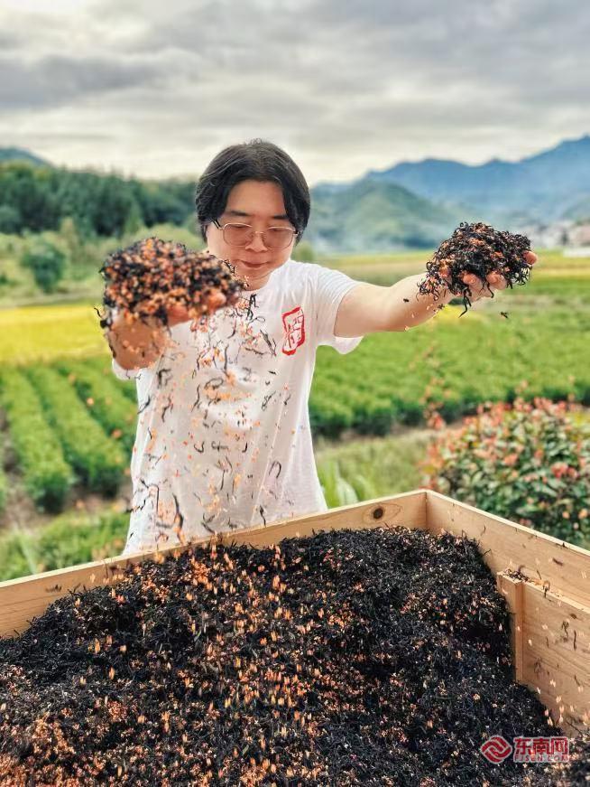 PG电子网站我们的“十五五”⑤闽茶入盏从生活品质到文化自信(图2)