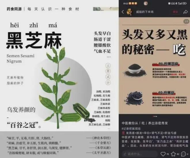 “黑”马逆袭！黑芝麻凭什么成为今冬饮品顶流？(图8)