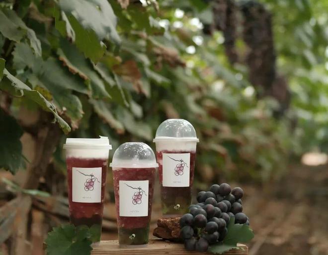 一年关店超600家：重回高端的喜茶艰难前行的加盟商(图3)