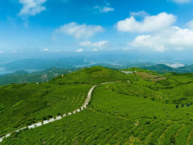 福鼎再添一块国家级“金字招牌”(图1)