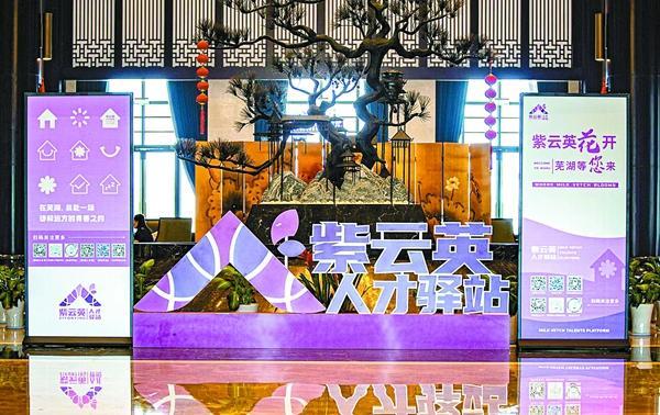 芜湖起飞：唱响人才与城市“双向奔赴”乐章(图2)