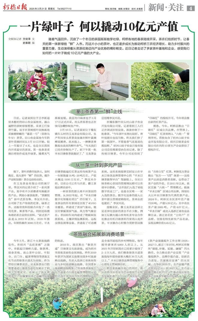 盘点2025柯桥区茶产业那些关键词(图10)