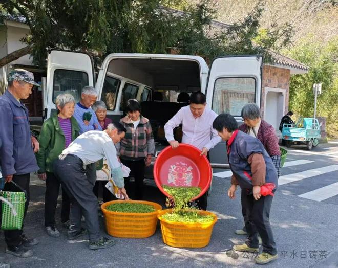 盘点2025柯桥区茶产业那些关键词(图13)