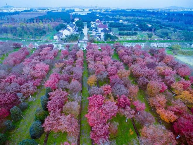 打造“环奥莱消费秀带”青浦奥莱与周边乡村的“引流”实验(图7)