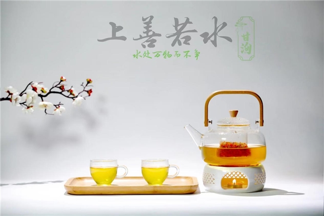 PG电子网站恭喜甘洵茶品牌荣登央视CCTV展播、创领健康生活新纪元(图4)