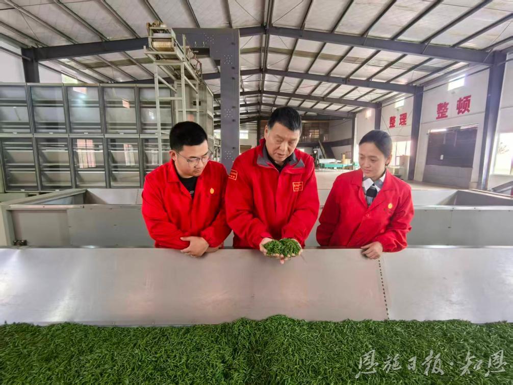 一片茶叶的史诗(图3)