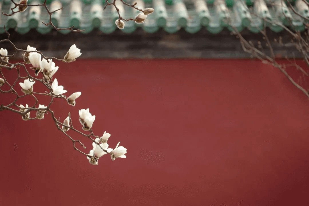 国潮的终点是标签的消失?(图8)